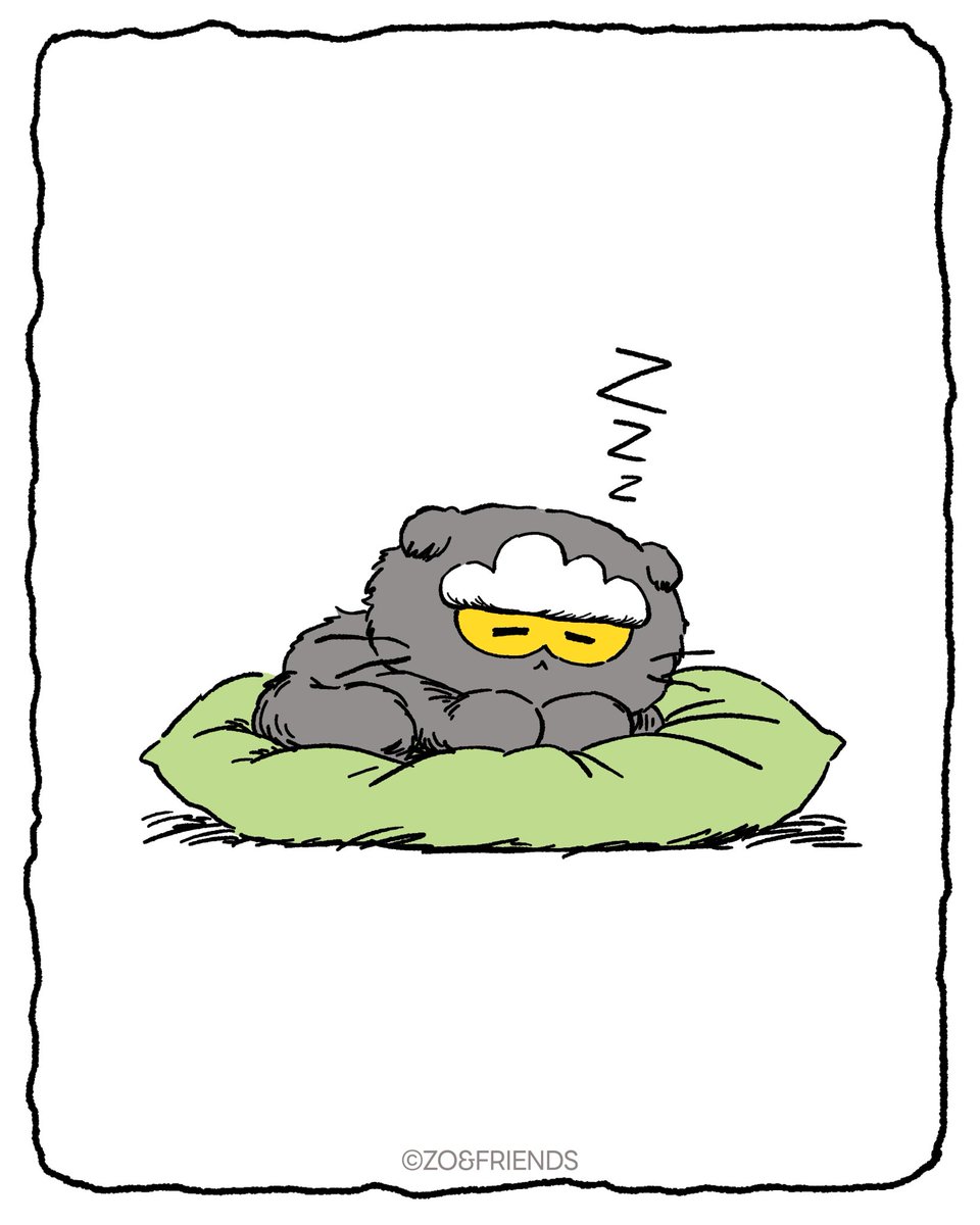 ZO&FRIENDS tweet media