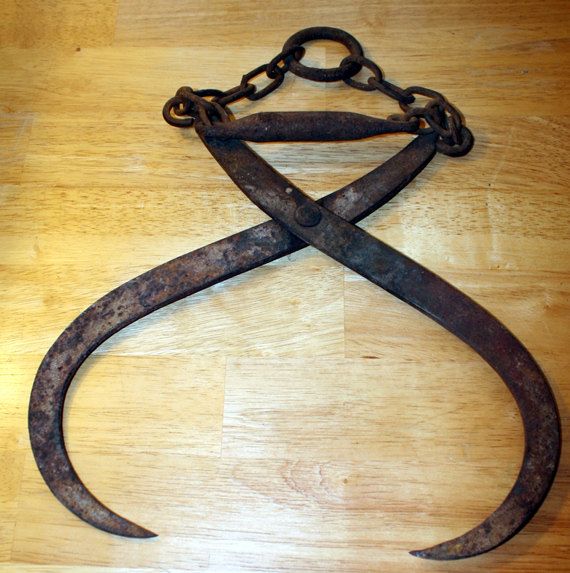 FruitfulPuzzles tweet media