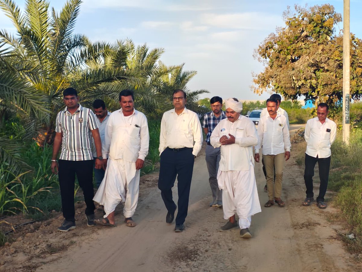 Collector Vav-Tharad tweet media