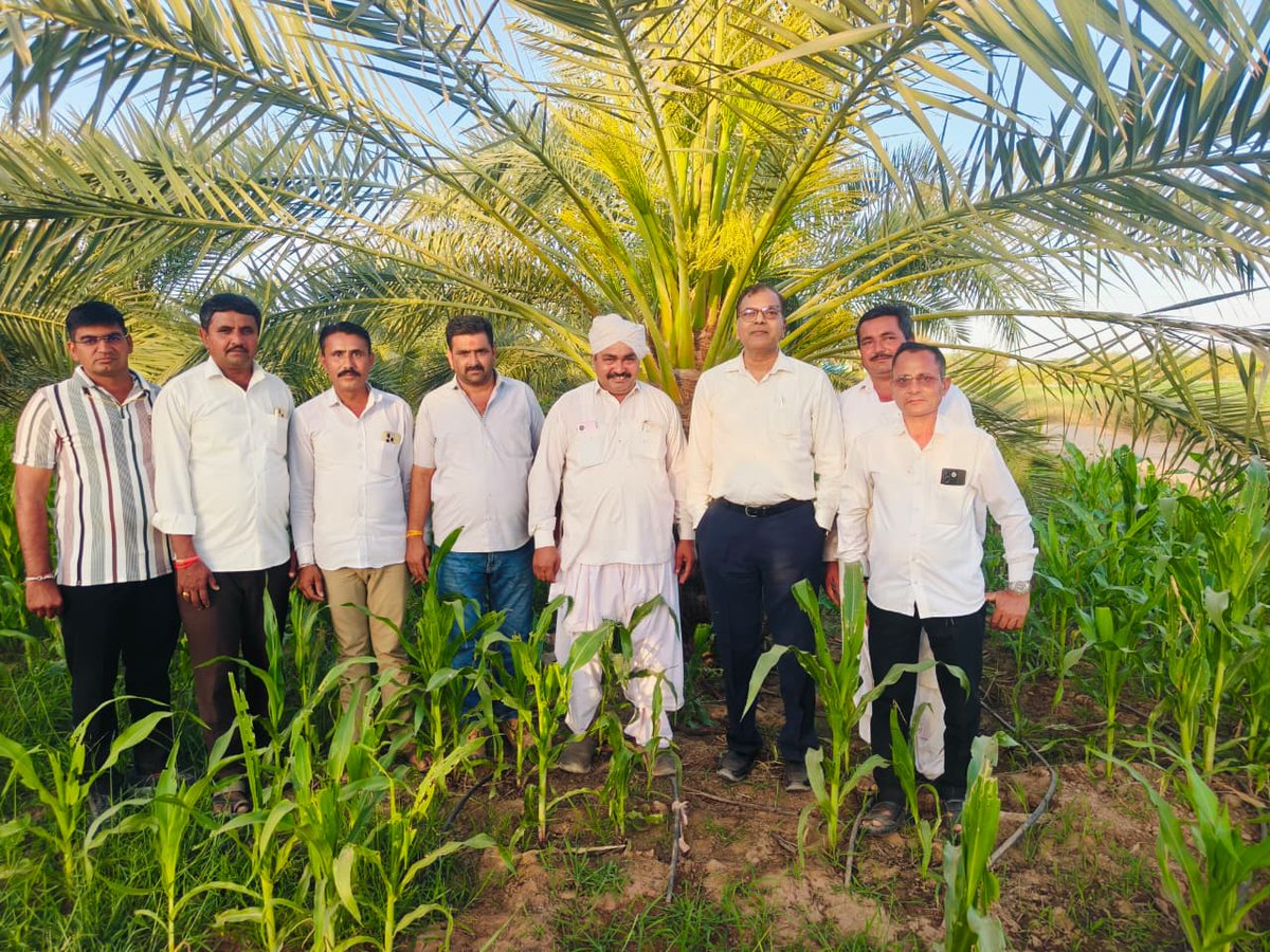 Collector Vav-Tharad tweet media