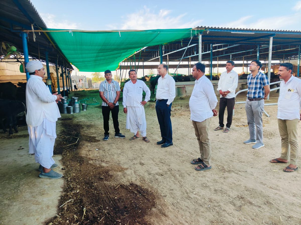 Collector Vav-Tharad tweet media