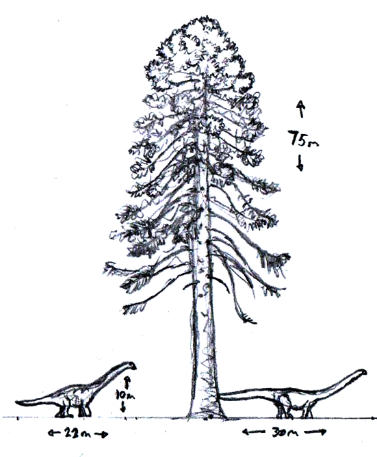 Tom Parker tweet media