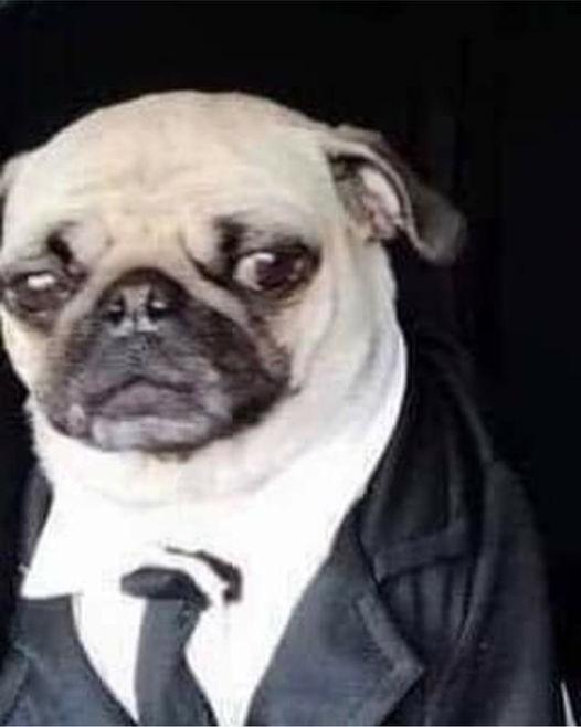 el calacoVT 💀🤖 tweet media