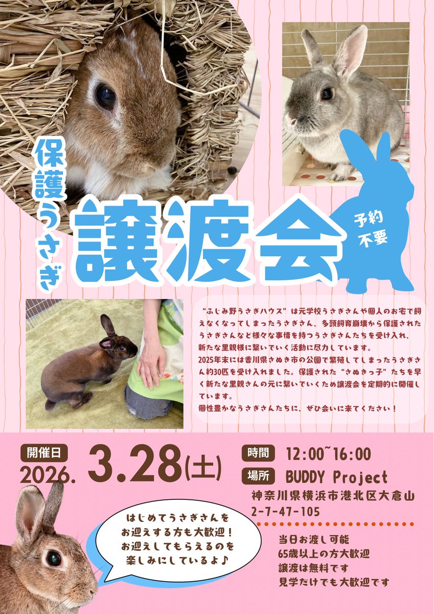 うさぎとひとの幸せを支える会🐰🐰@ペットショップではなく保護うさぎをお迎えしよう！ tweet media