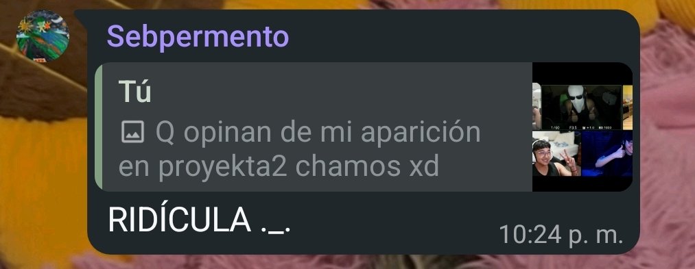 ivanaca ˆ𐃷ˆ🦫 tweet media