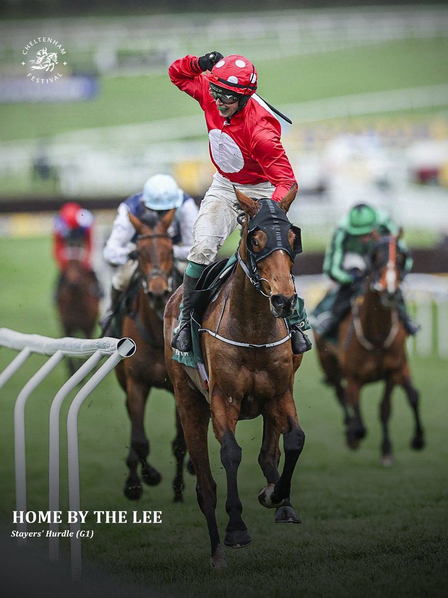 GlobalRacing25's tweet photo. Flat Trainer Joseph Patrick O'Brien takes the Paddy Power Stayers' Hurdle (G1) with Home By The Lee https://t.co/9XSqKOwXlA