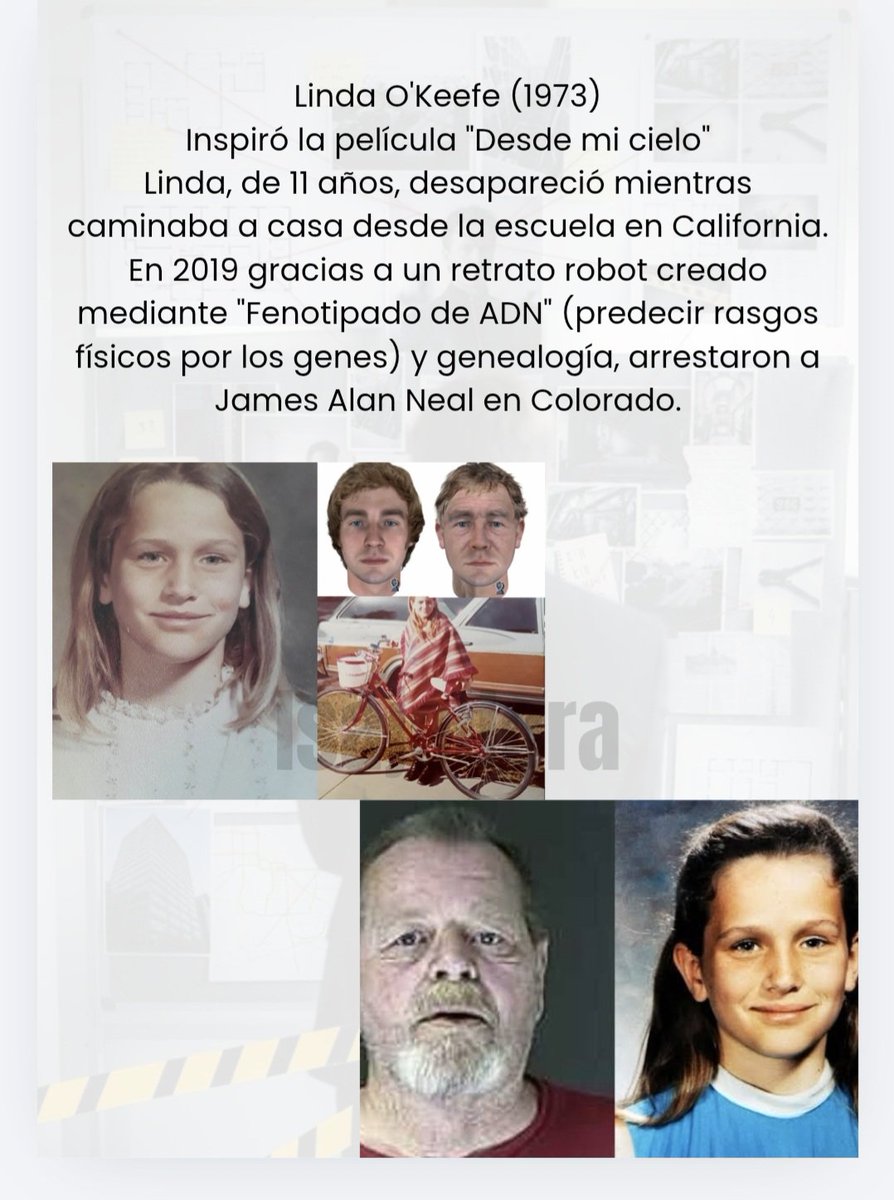 Isaa 🐨 tweet media