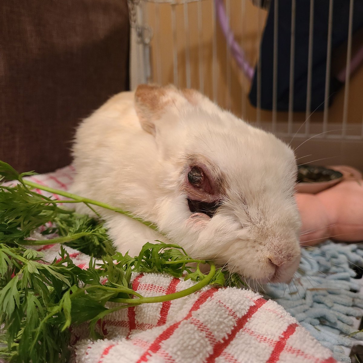 がんばれ芽依ちゃん tweet media