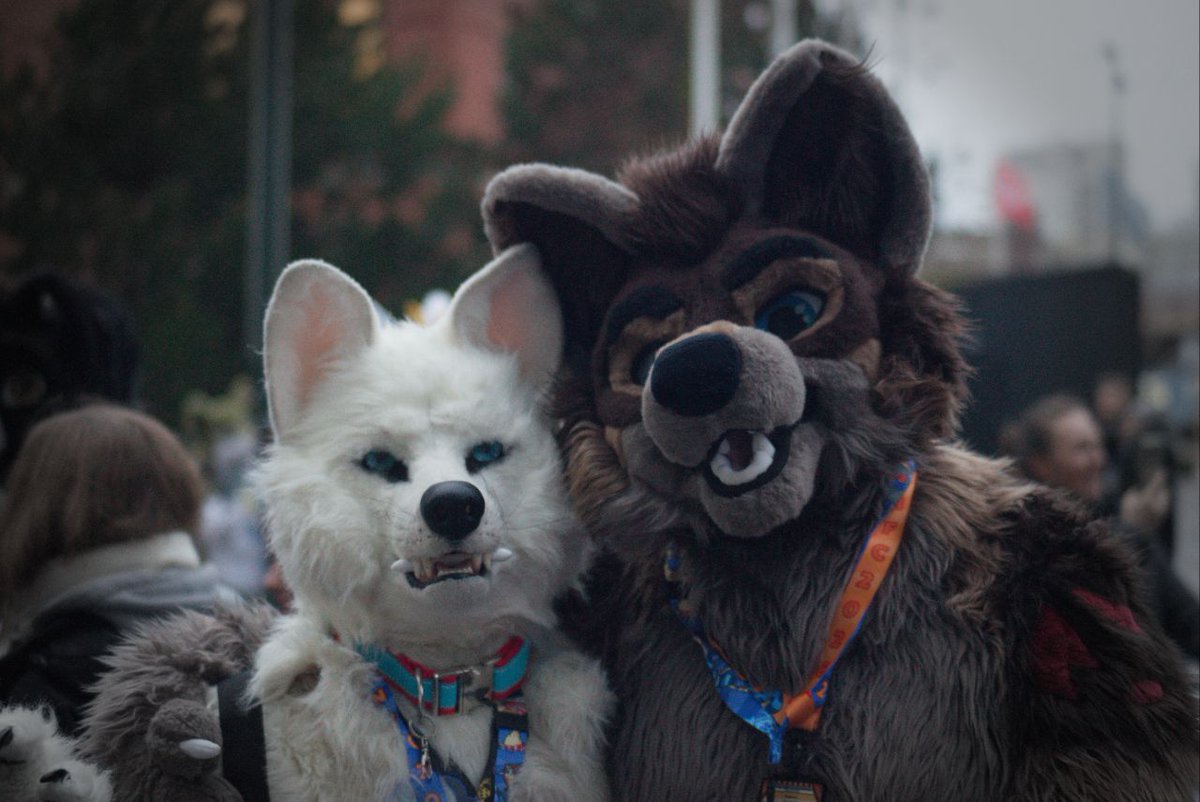 ManchuWolf ➡️NFC tweet media