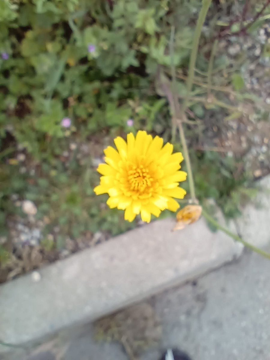 Arnau Cabeza Garrido tweet media