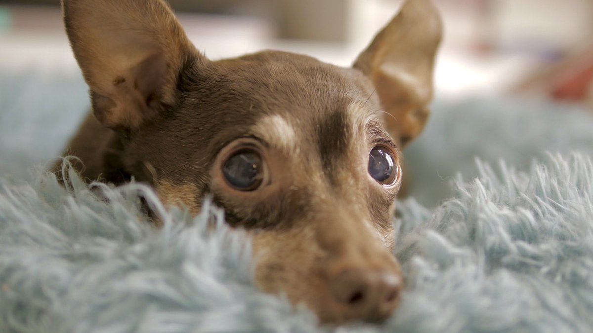 るぅ@軽貨物🚚🎀🎁🐸 tweet media