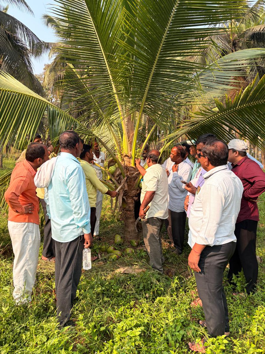 Coconut Development Board, Government of India tweet media