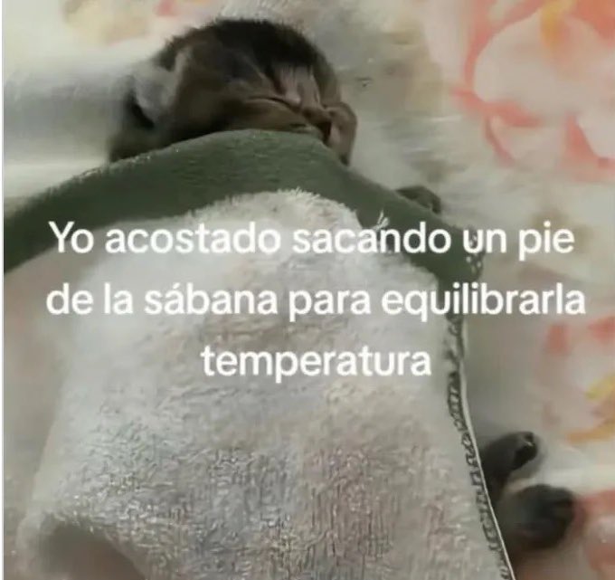 Guarromantico_'s tweet photo. Equilibrio perfecto. https://t.co/DrrAOQbO0k