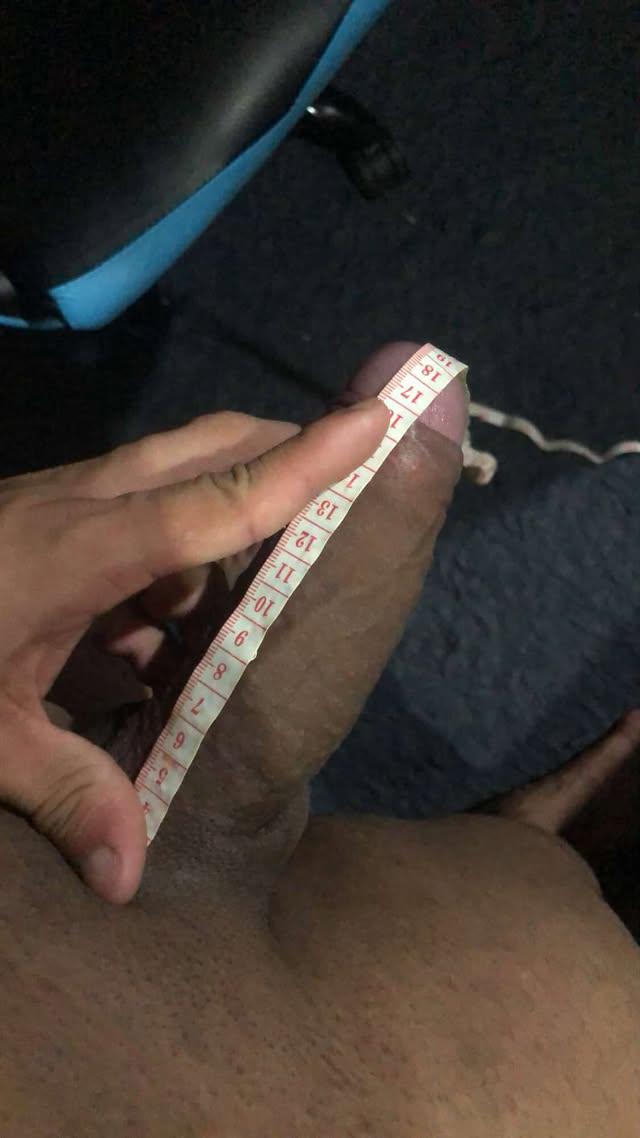 XExTwitte's tweet photo. Mole meia bomba 19, durão 22cm. 
Assina o Privacy pra ver ele bem durão: https://t.co/HiWCZ2wM1A https://t.co/Ih2n4e7EP5