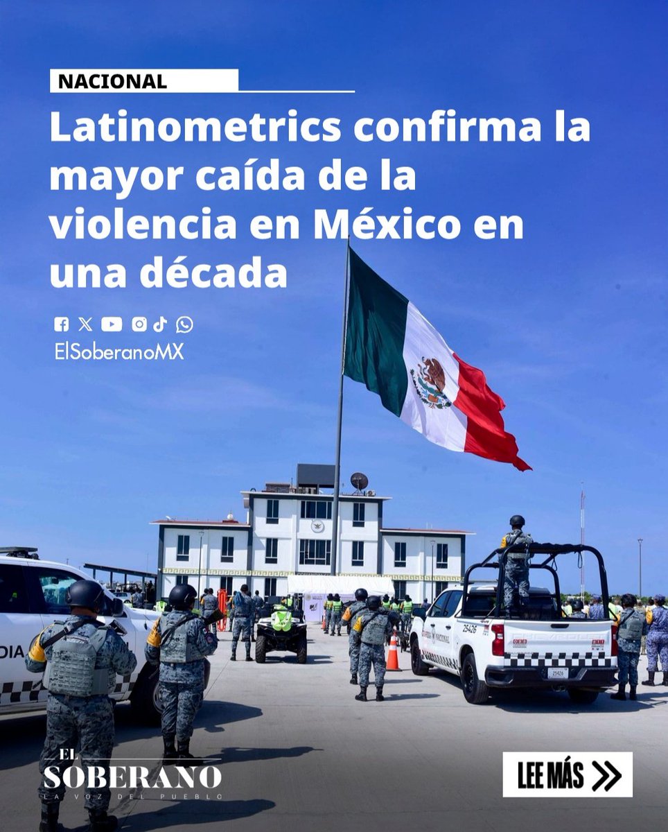 Rosy de Vita🍥🦭 tweet media