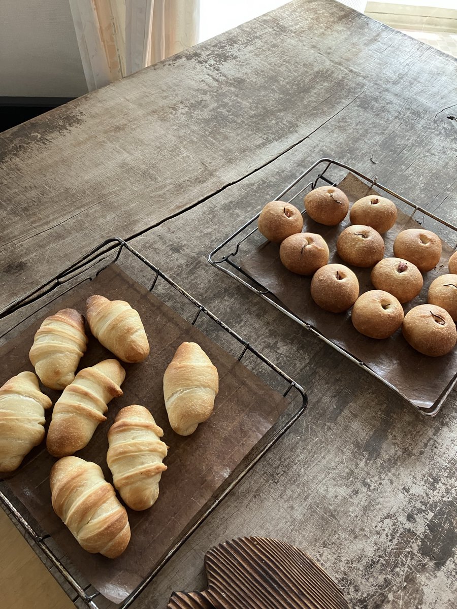 うかたま tweet media