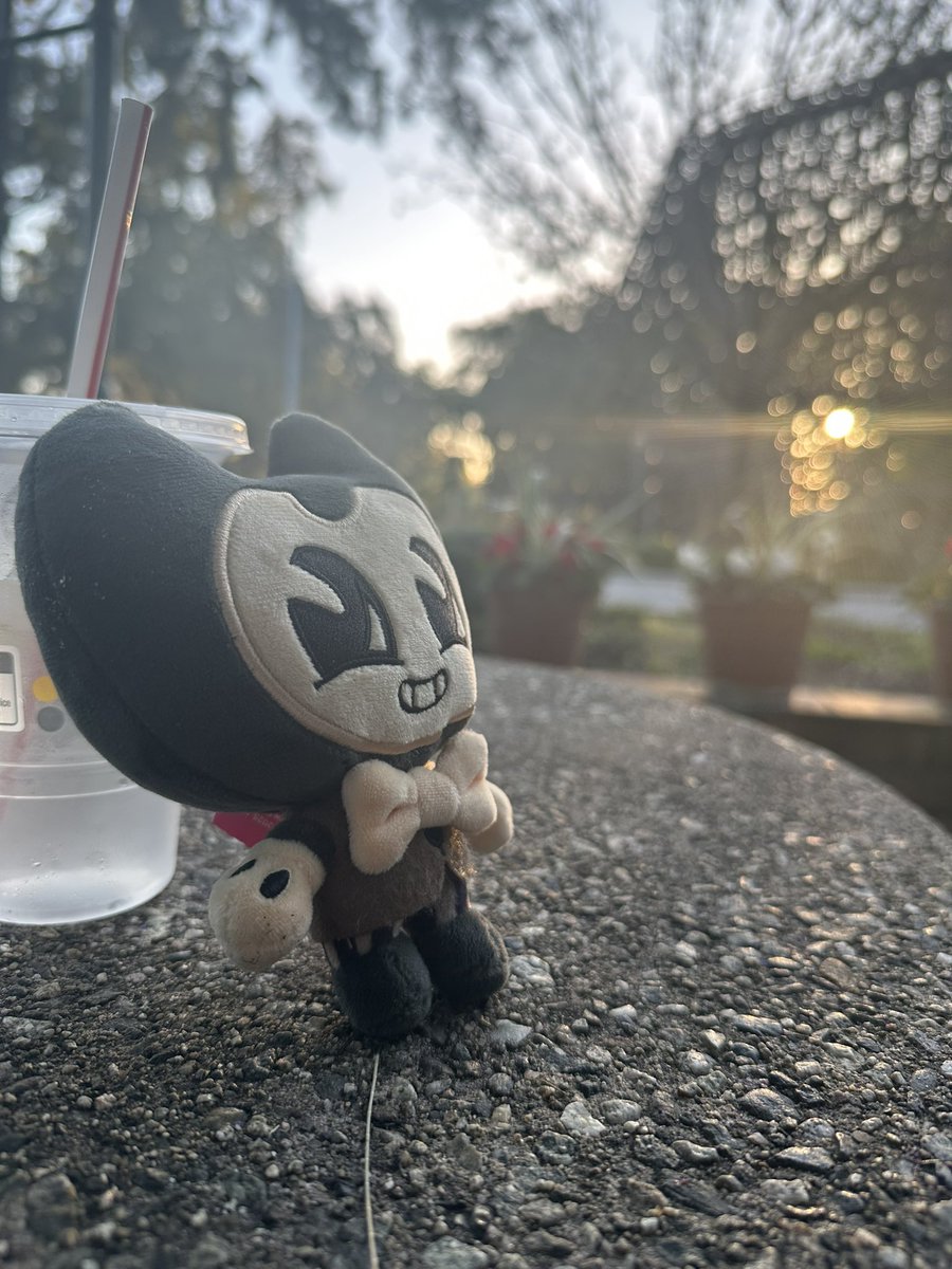 CambrianSoup tweet media