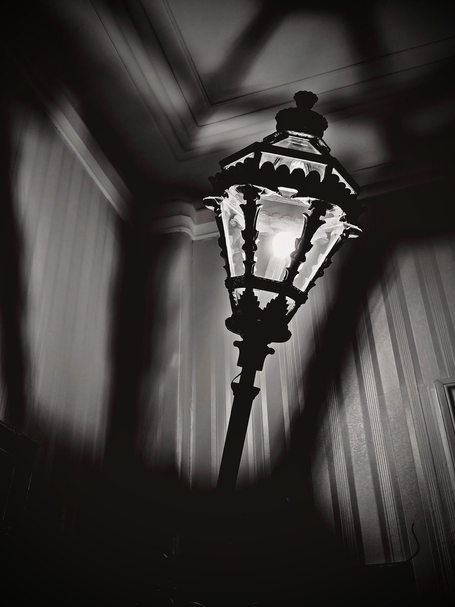 Lucia Luce tweet media