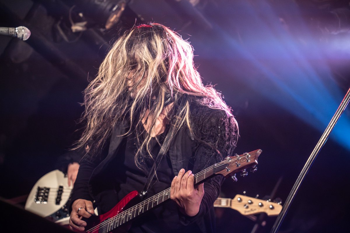 NØCTORNIA Official tweet media