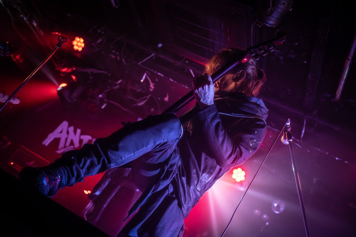 NØCTORNIA Official tweet media