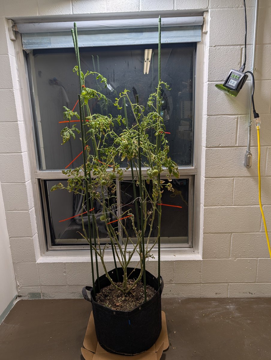 Martin_DeVido tweet media