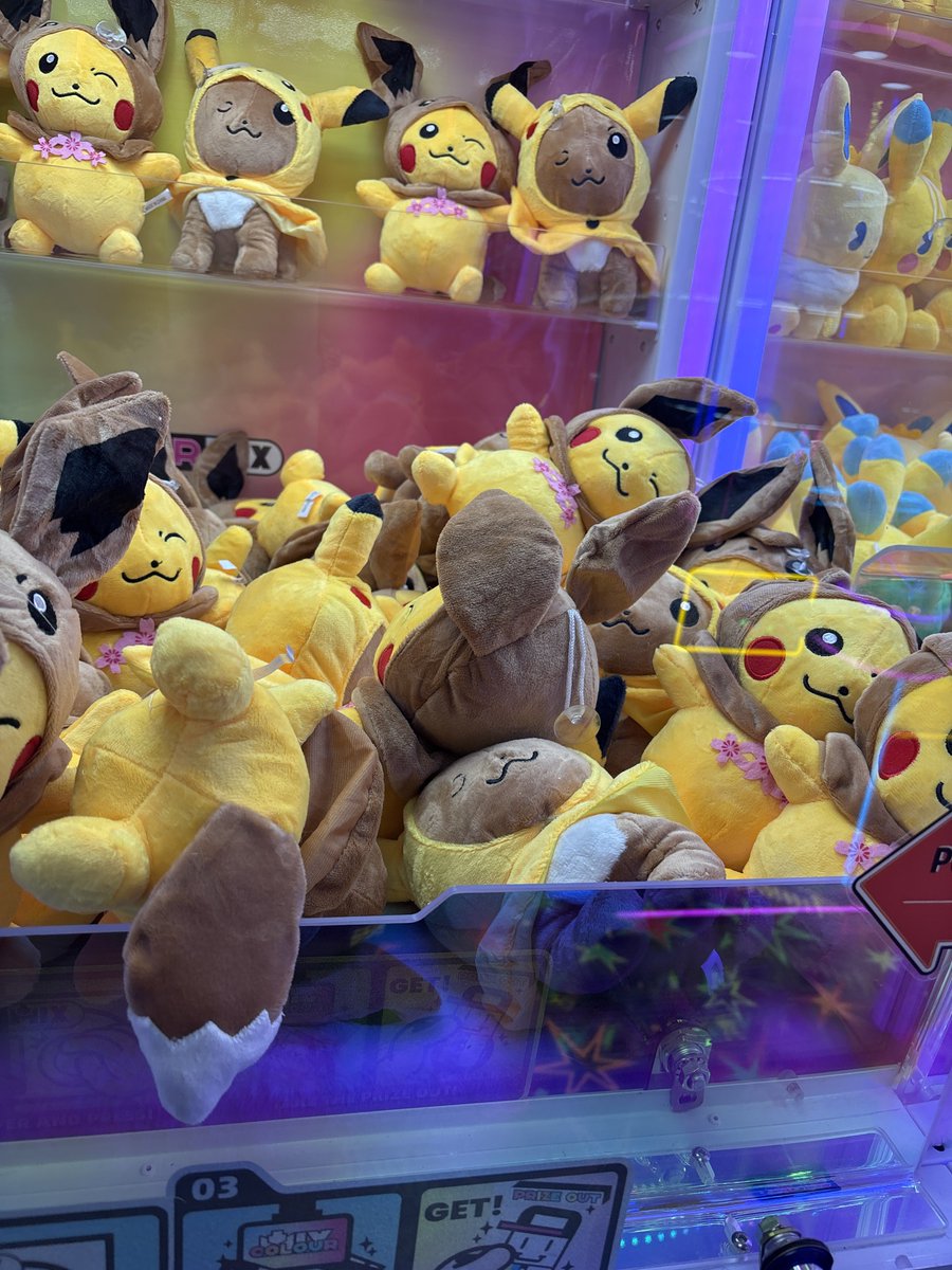 AnaWhim Seaturtle VT🐢 tweet media