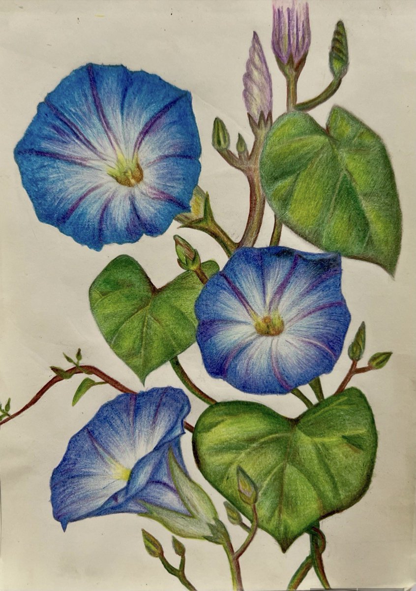 arwasartwork's tweet photo. Check out my Etsy shop! https://t.co/CguY6Aywj4 https://t.co/B91mJVb5da
