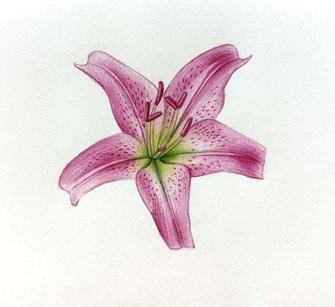 Justa Normalguy tweet media