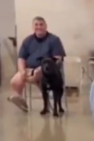 itsamandalorian tweet media