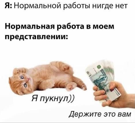 Виталя пишет код tweet media