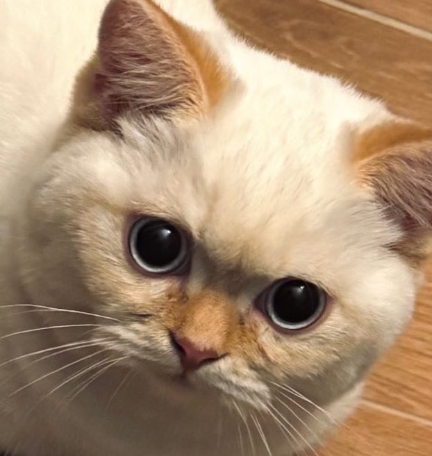 เหมือนกันขนาดนี้ได้ยังไงเนี่ย