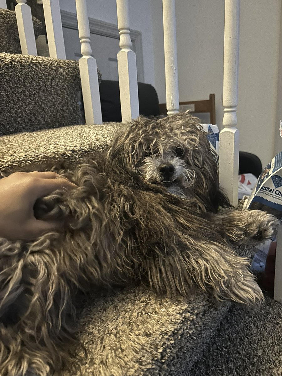 CJ🔪🌙 tweet media