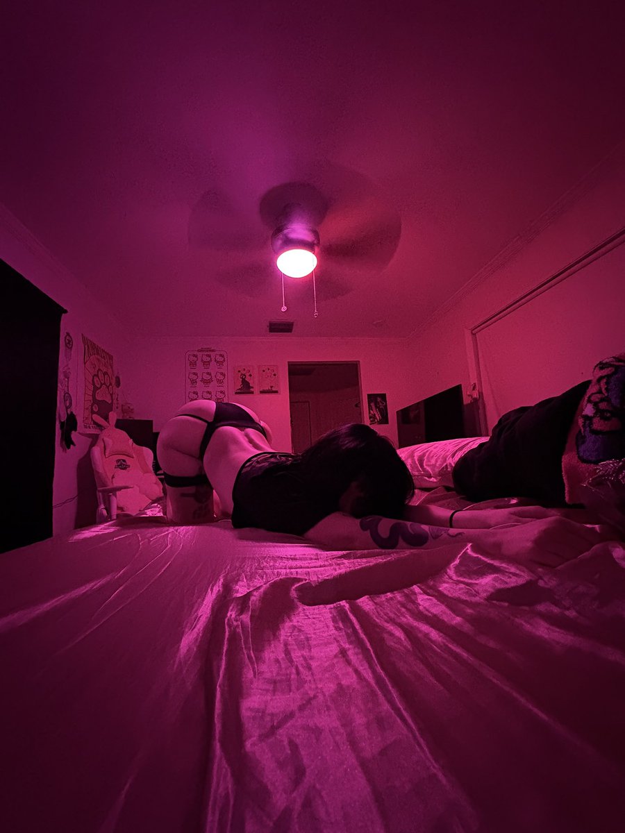 ravyndog's tweet photo. intro
⛧°. ⋆𓌹*♰*𓌺⋆. °⛧

⛧ 22 yrs
⛧ brat / sub
⛧ league, horror games, roblox
⛧ dms always open 
⛧ like or comment for moots <3 https://t.co/4QWc0t2J29