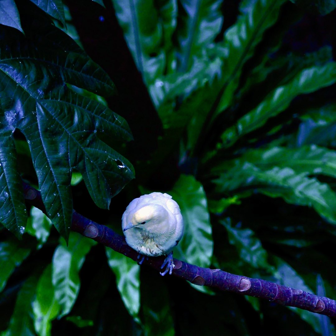 Shikha Sawhney tweet media