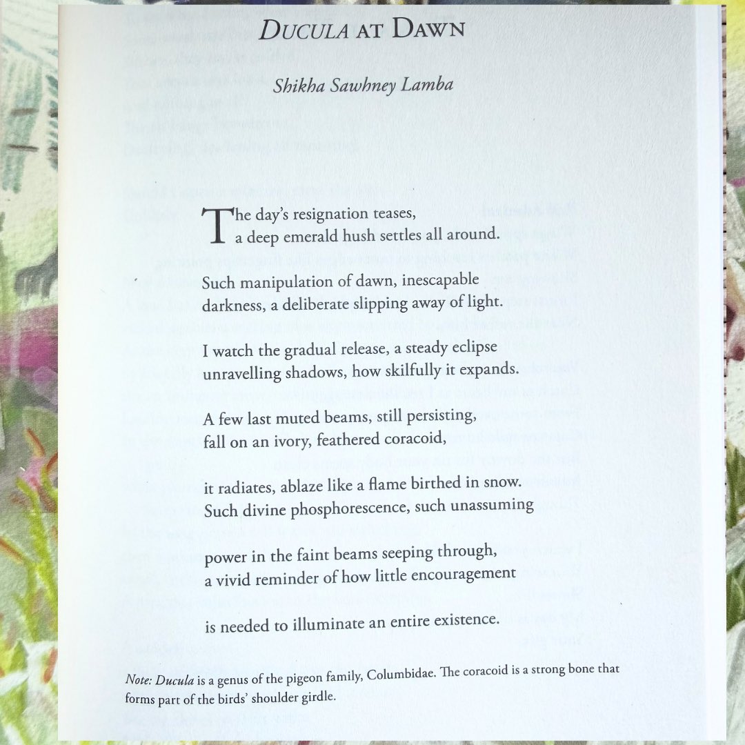 Shikha Sawhney tweet media