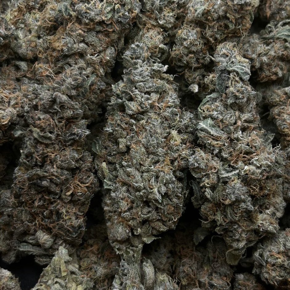 Silent Deal tweet media