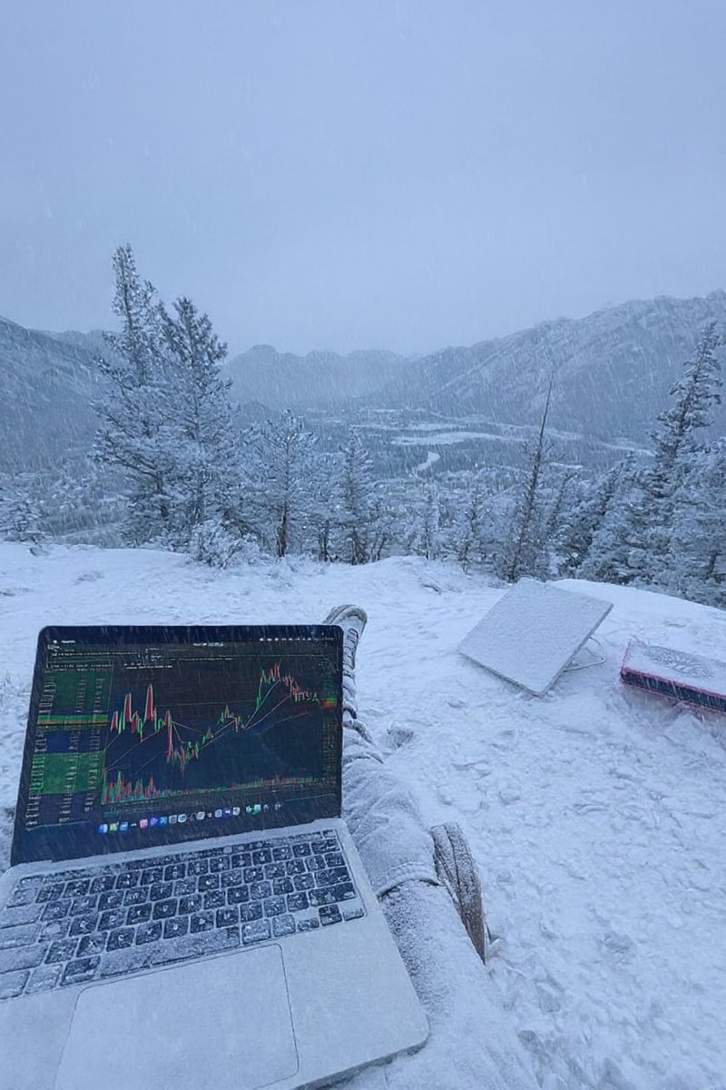 MaxTrade786 tweet picture
