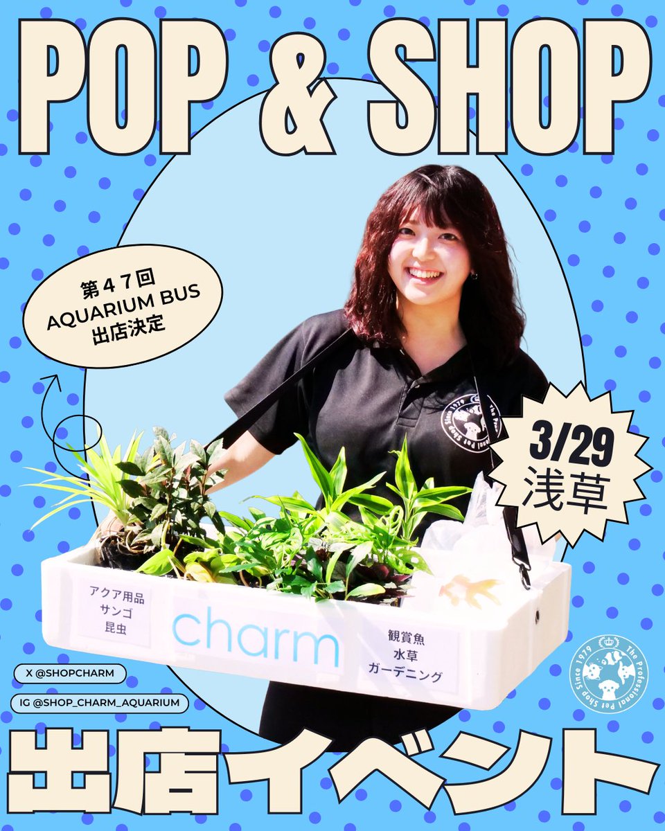 shopcharm's tweet photo. 久しぶりに 3/29開催 アクアリウムバス に出店します！
最近はイベント出店が少なかったですが、
これからはイベントにもどんどん参加していく予定です。
お時間ある方はぜひ遊びに来てください😊
よろしくお願いします！
※詳細はアクアリウムバス公式アカウントをチェックしてください！
@aquariumbus
