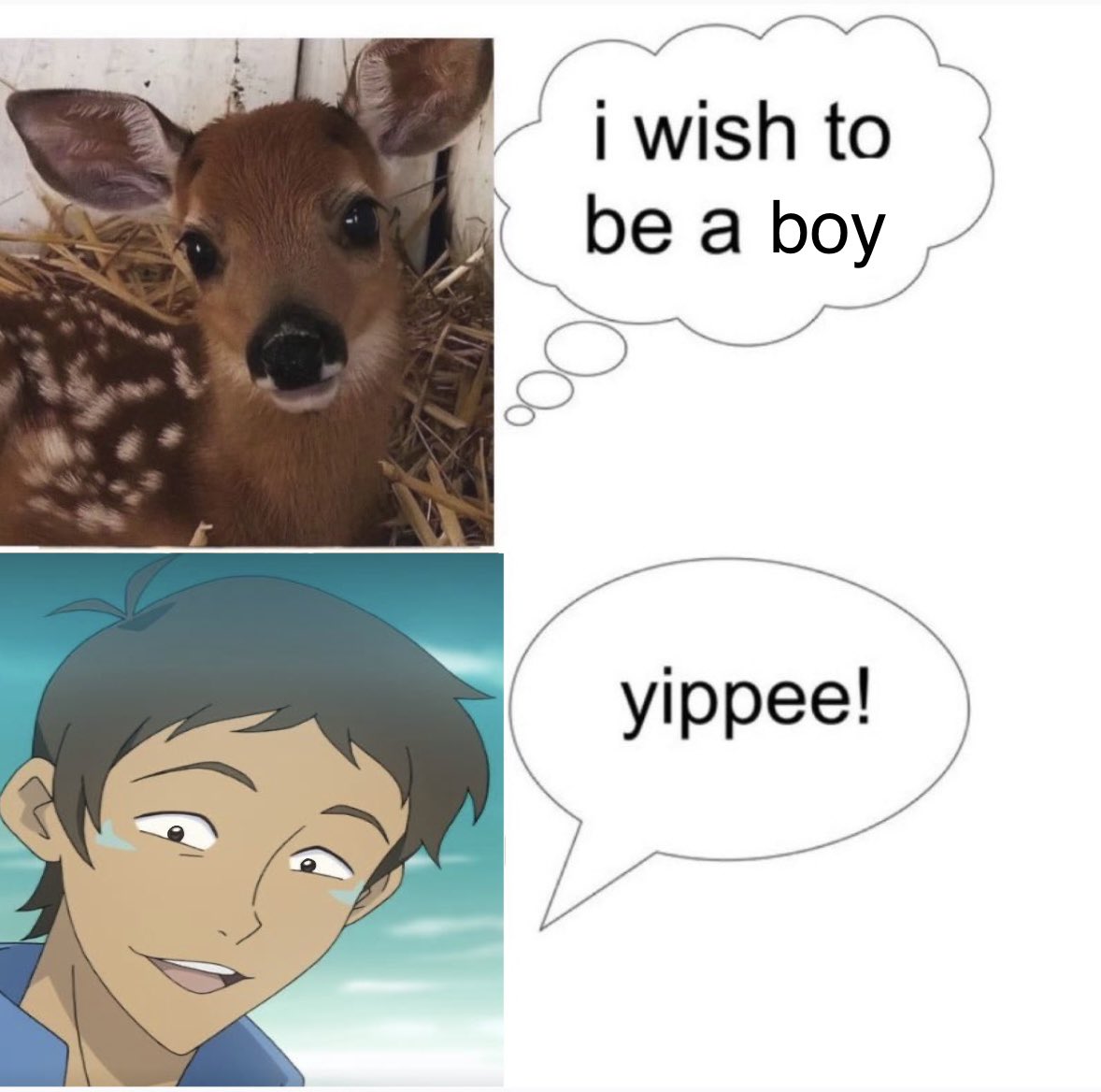 ✮⋆˙ tweet media