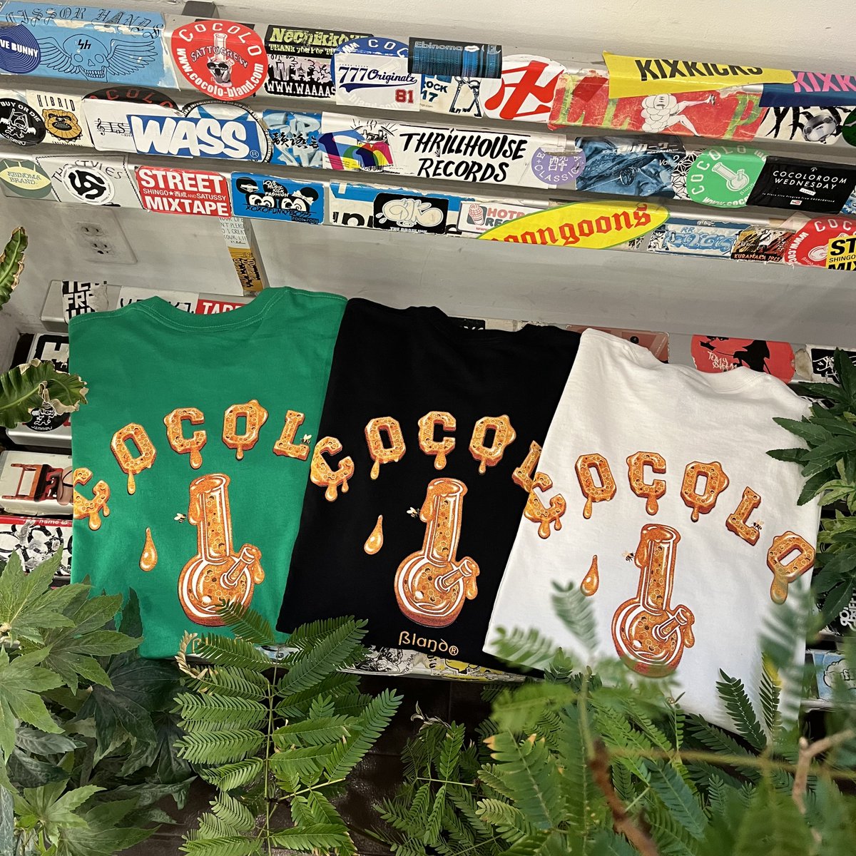 COCOLO BLAND tweet media