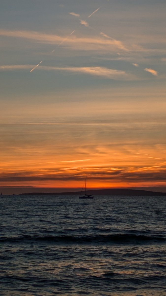 jonas.xrd tweet media