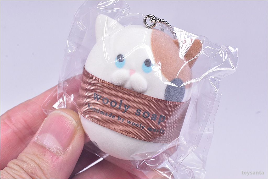 ✨新商品案内 2026年3月13日(金)✨／ ☑️wooly morly ウーリー