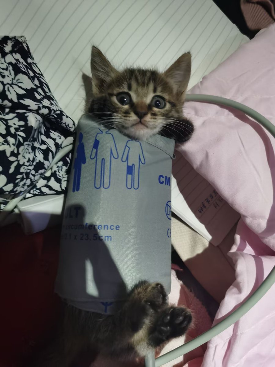 STRIDSFORDON 9040C tweet media