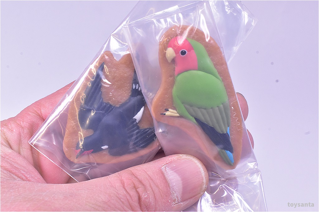 ✨新商品案内 2026年3月13日(金)✨／ ☑️アートユニブテクニカラー 鳥