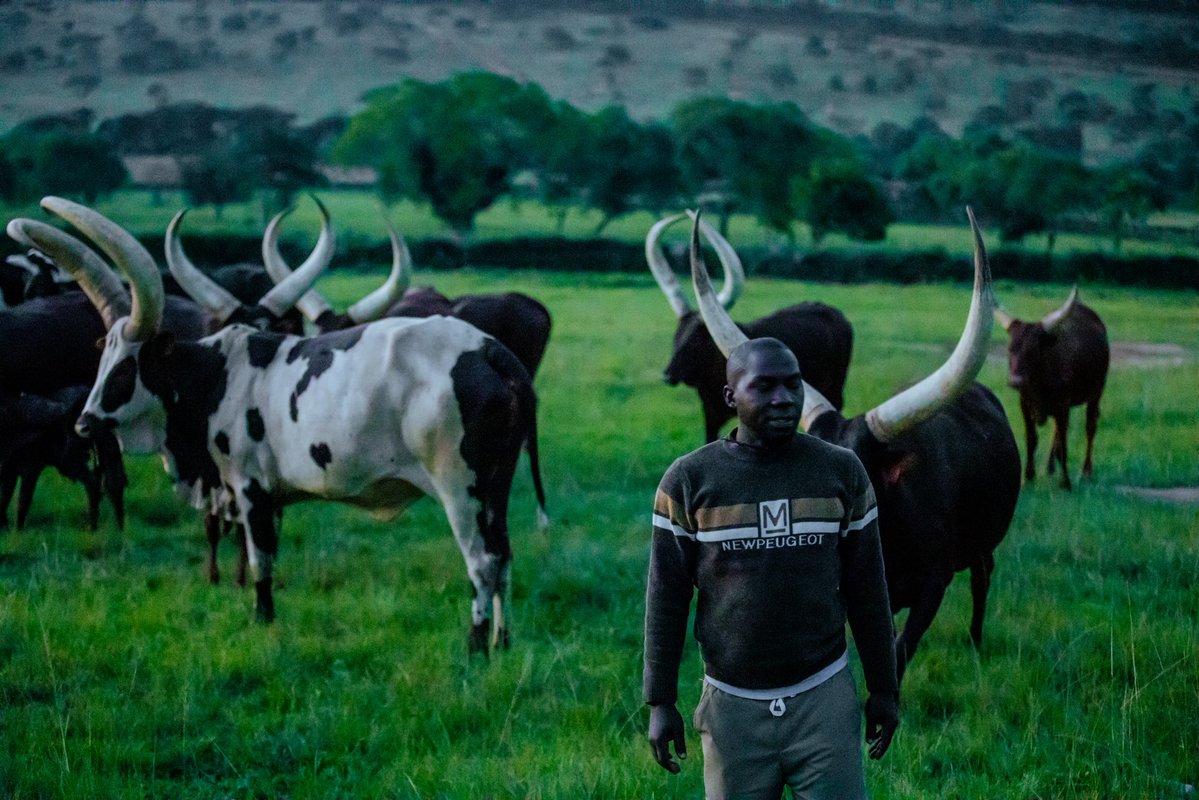 MUWONGE UMAR MULYAZAWO tweet media