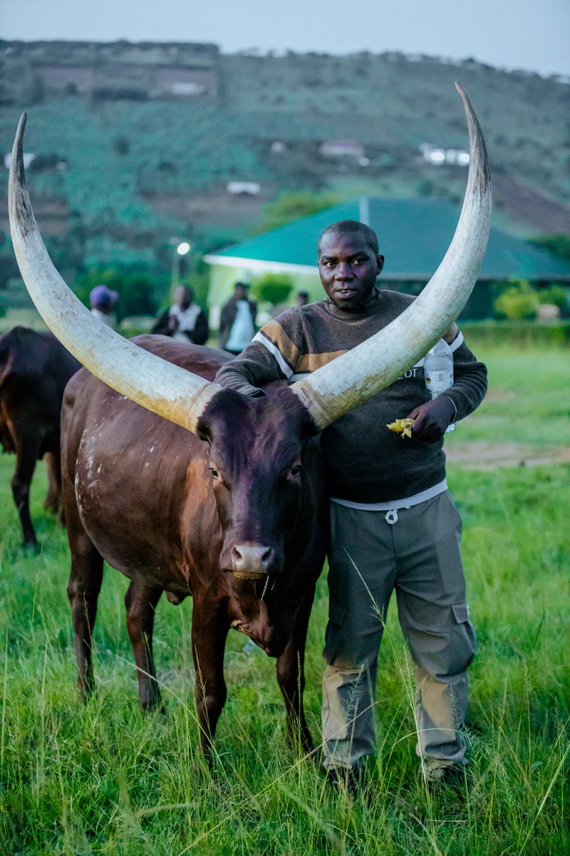 MUWONGE UMAR MULYAZAWO tweet media