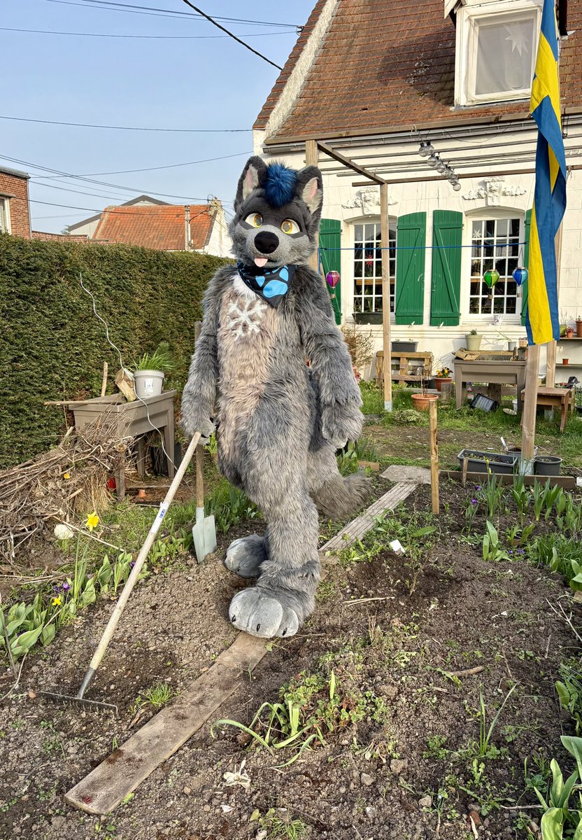 Szürky Farkas @NFC tweet media