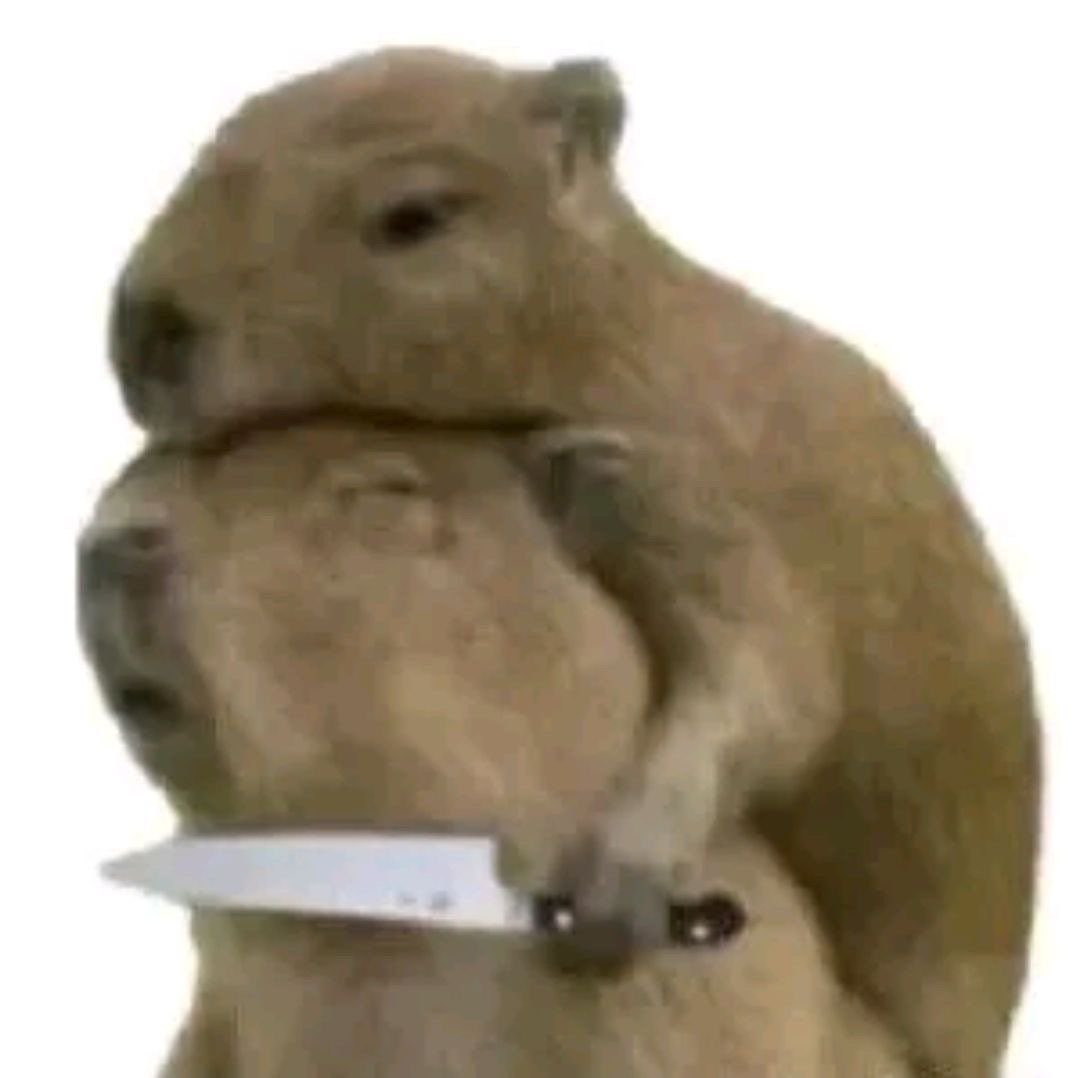 DabiVT 🪶 +MONO+ tweet media