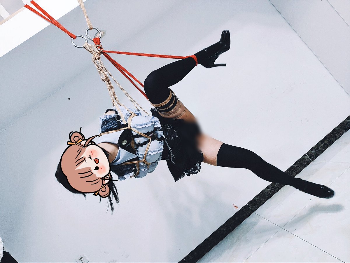 秋风半夜瞑蝉 tweet media