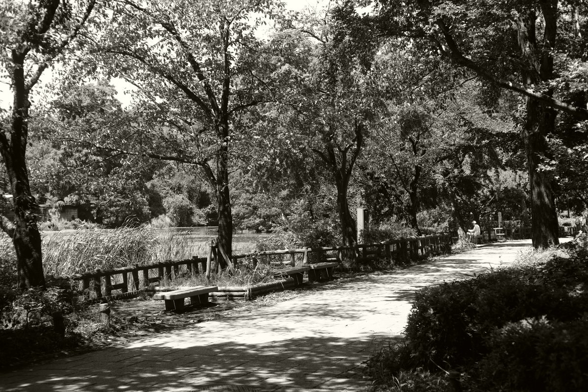 Mizuma Art Gallery tweet media